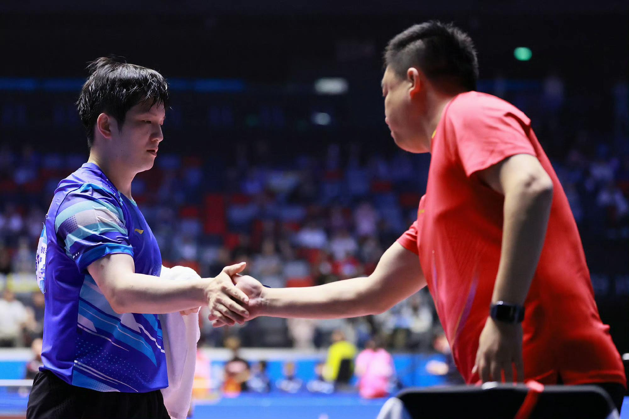 瑞典队轻取葡萄牙队，樊振东状态火热