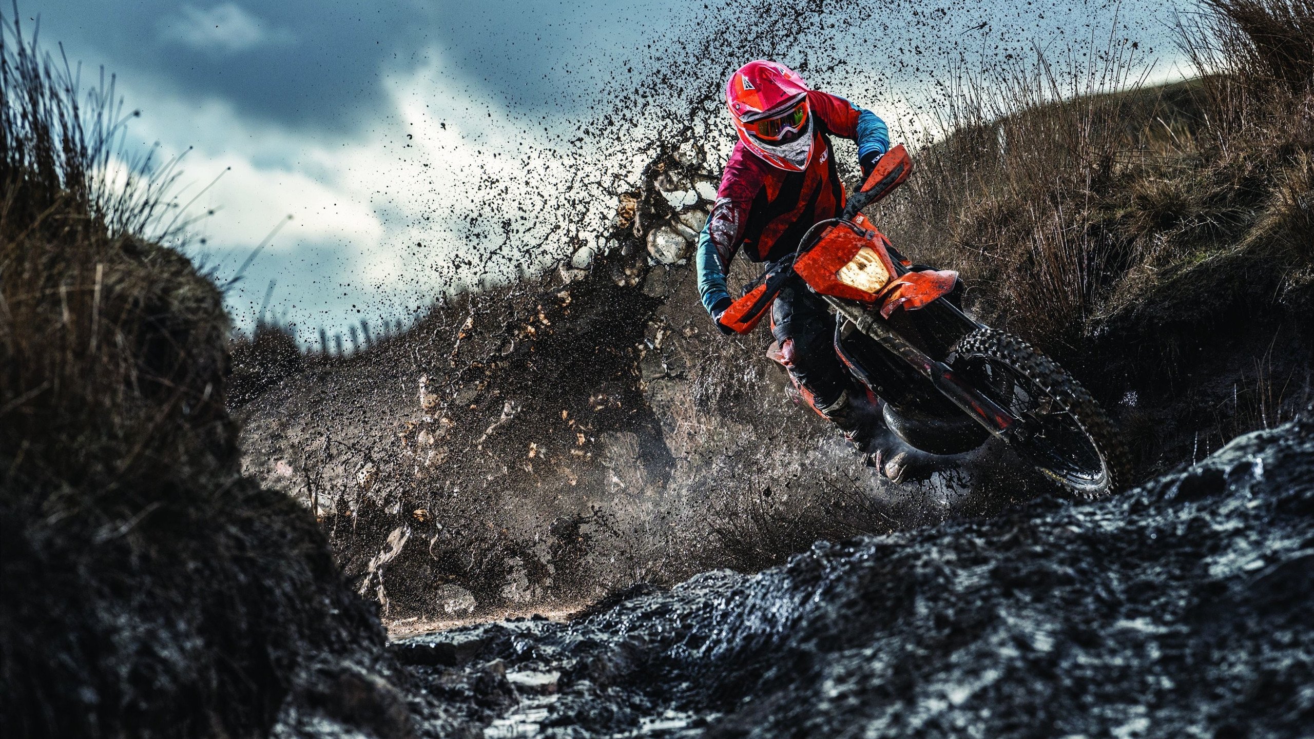 托尼关键制胜，当几内亚的坚韧撞上勒沃库森的精密