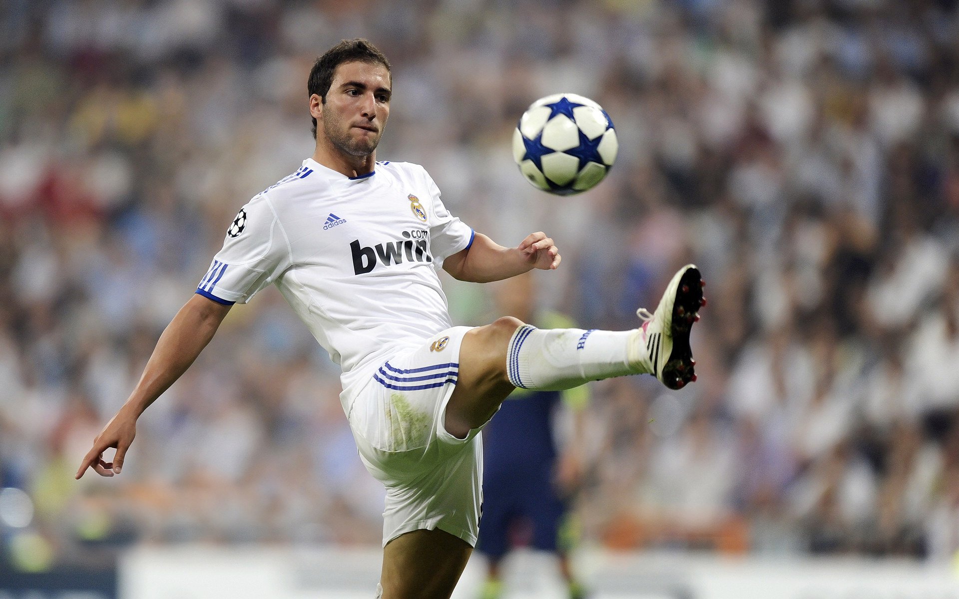 从费城到世界,霍勒迪的双重征服与篮球的进化密码